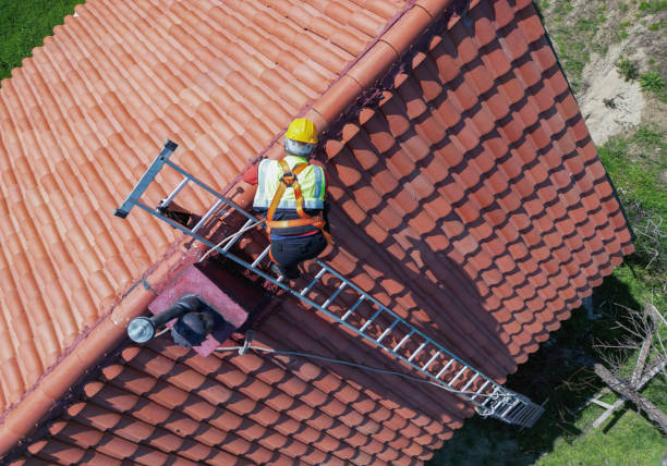 Best Steel Roofing  in Lake Secession, SC